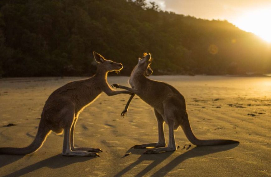 Discovering Remote Paradises And Untouched Beauty Across…